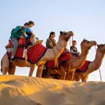 Dubai Desert Safari with Camel Riding