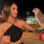 Dubai Desert Safari with Falcon