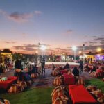 Dubai Desert Safari with Sharing Camp